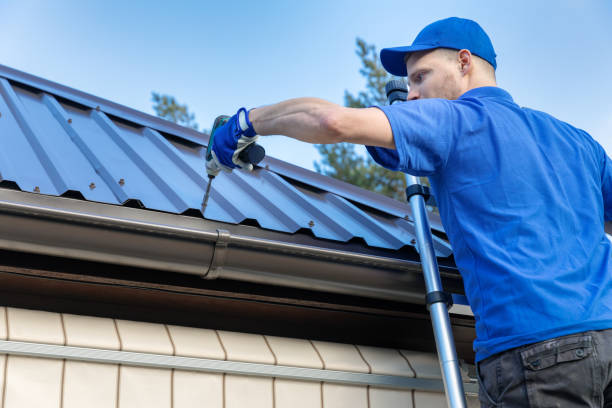 Best Green or Eco-Friendly Roofing Solutions  in Millsboro, DE