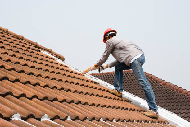 Best Hot Roofs  in Millsboro, DE